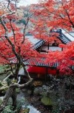 大象融媒和中原传媒-大象融媒与中原传媒，共绘文化传播新蓝图