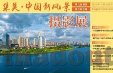 大象视频下载app免费版-探索大象视频下载的便捷之路，免费版APP的魅力