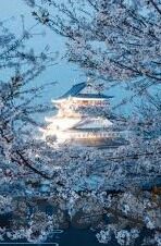 电影2012中文字幕-电影2012的末日预言与人性光辉