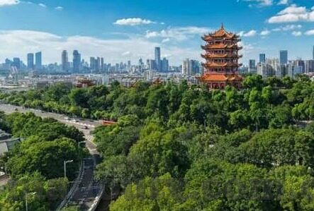 久涩涩色视频麻豆伊人-多维视角下的网络内容审视，关于久涩涩色视频麻豆伊人的启示