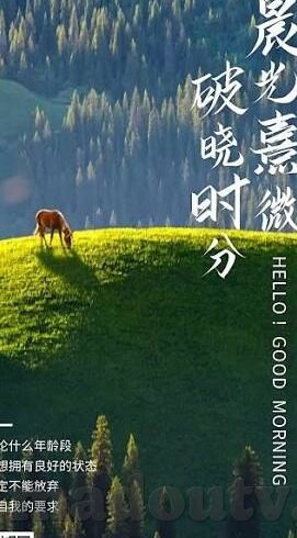麻豆传媒在线网站在线观看视频-探索网络视频的多元化世界，麻豆传媒在线网站观影体验解析