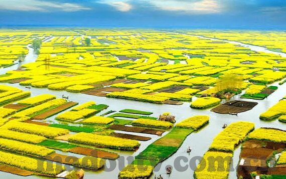 麻豆视频app在线观看-「流光溢彩的视觉盛宴，探索麻豆视频APP的多彩世界」