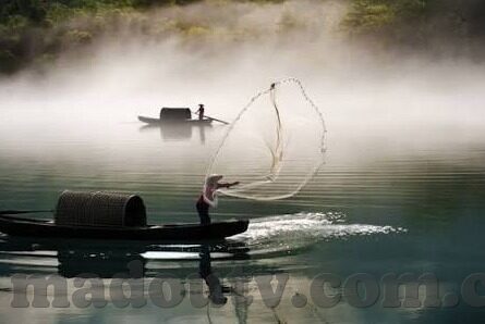 美国成人黄色视频-美国成人黄色视频，社会现象的复杂面相