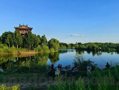 免费看伦理电影-免费伦理电影的观影新体验，道德与艺术的和谐共舞